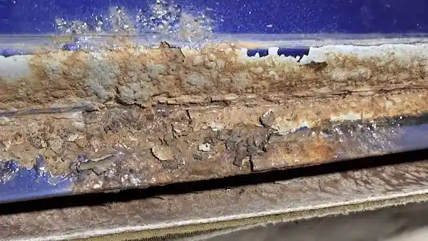 Rust blooming along the windshield pinch weld area on a 2004 Chevy Monte Carlo after the molding was removed — corrosion spread further than the surface bubble suggested.