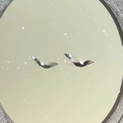 Angel wing windshield chip — two curved flare cracks opening from the center impact point like wings.