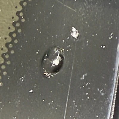 Windshield pit — a little white dot of surface glass knocked off, shown beside a bullseye for scale.