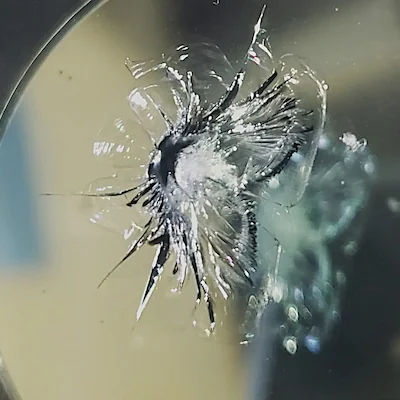 Combination windshield break — chip with cracks radiating from a single impact point.