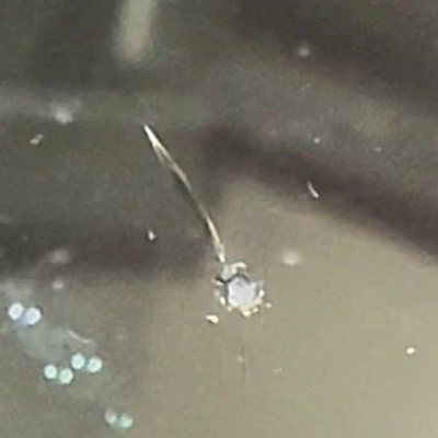 Line crack windshield chip — single impact point with one crack running straight through it.